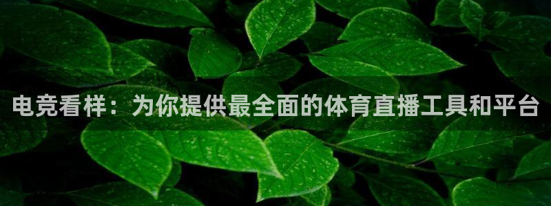 电竞看样：为你提供最全面的体育直播工具和平台