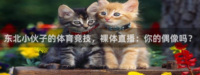 东北小伙子的体育竞技，裸体直播：你的偶像吗？