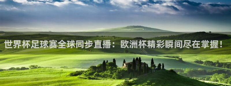 世界杯足球赛全球同步直播：欧洲杯精彩瞬间尽在掌握！