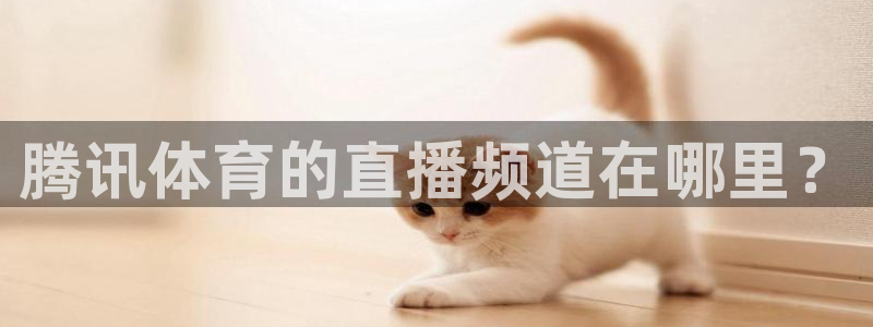 腾讯体育的直播频道在哪里？