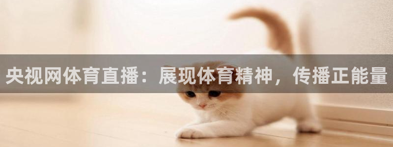 央视网体育直播：展现体育精神，传播正能量