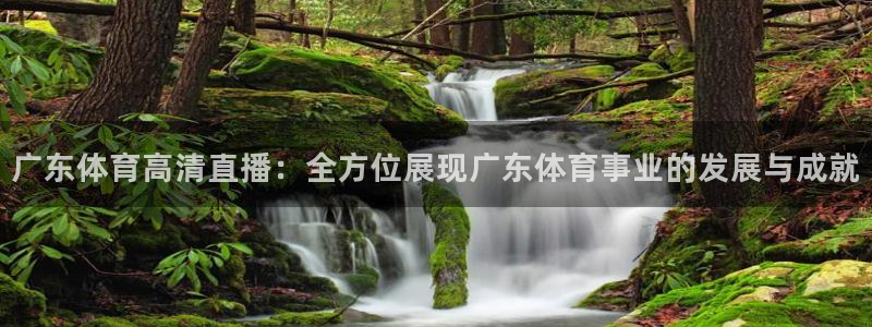 广东体育高清直播：全方位展现广东体育事业的发展与成就