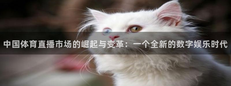 中国体育直播市场的崛起与变革：一个全新的数字娱乐时代
