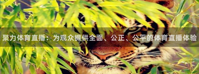 聚力体育直播：为观众提供全面、公正、公平的体育直播体验