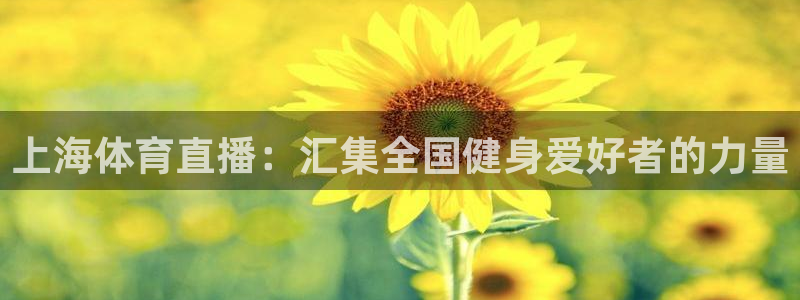 上海体育直播：汇集全国健身爱好者的力量