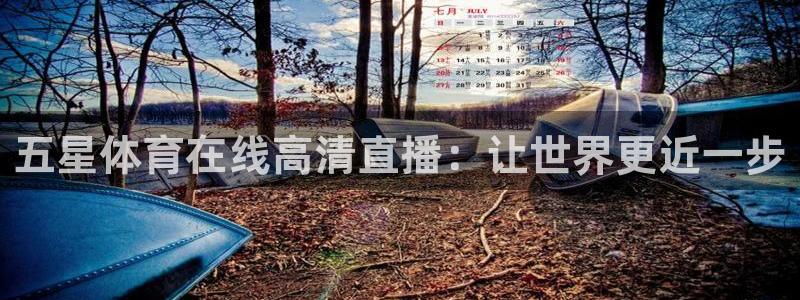 五星体育在线高清直播：让世界更近一步