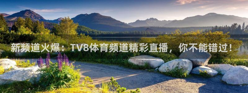 新频道火爆：TV8体育频道精彩直播，你不能错过！