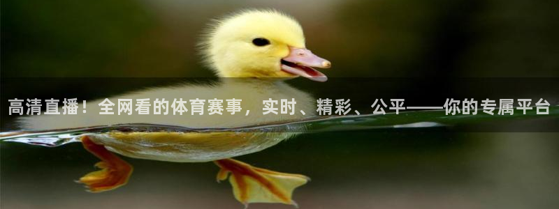 高清直播！全网看的体育赛事，实时、精彩、公平——你的专属平台