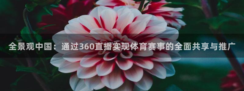 全景观中国：通过360直播实现体育赛事的全面共享与推广