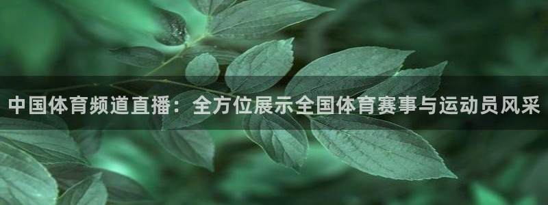 中国体育频道直播：全方位展示全国体育赛事与运动员风采