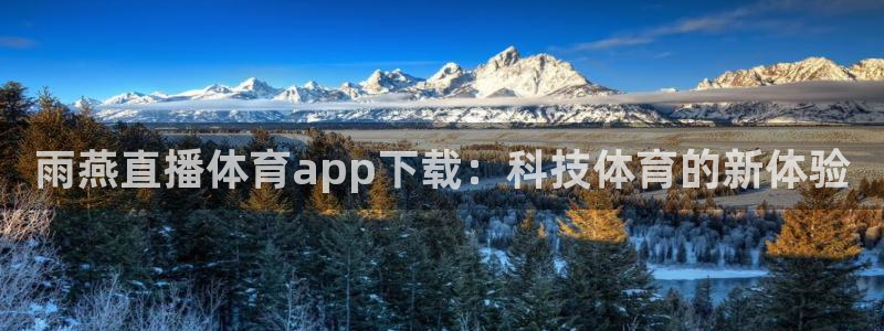 雨燕直播体育app下载：科技体育的新体验