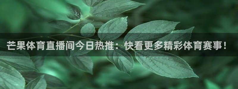 芒果体育直播间今日热推：快看更多精彩体育赛事！