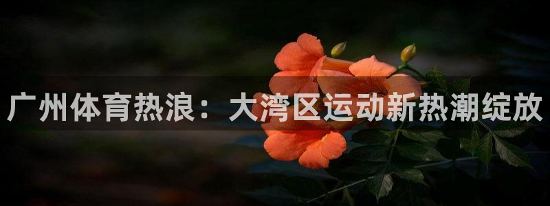 广州体育热浪：大湾区运动新热潮绽放