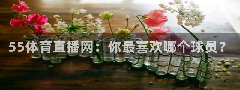 55体育直播网：你最喜欢哪个球员？