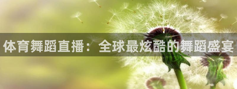体育舞蹈直播：全球最炫酷的舞蹈盛宴